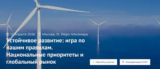 Устойчивое развитие: игра по нашим правилам. Национальные приоритеты и глобальный рынок
